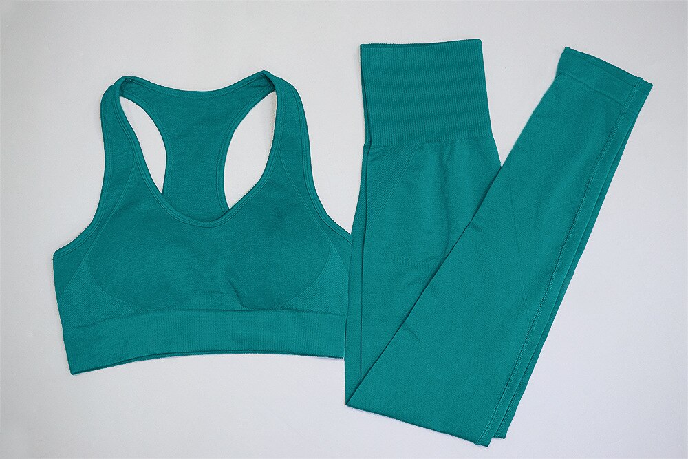 FREE SHIPPING Sportswear Yoga Suit Fitness Suit Sports Bra Leggings Sets JKP4559 